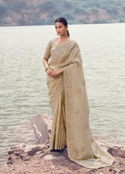 Champagne Gold Tissue Silk Khatli Work Saree