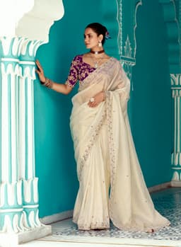 Cream Organza Tissue Embroidered Designer Saree