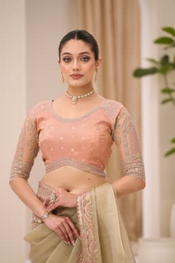 Sage Green Sunsilk Tissue Saree for Wedding Reception