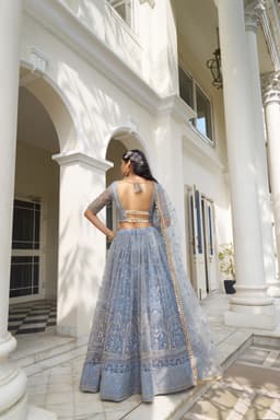 Powder Blue Butterfly Net Lehenga Choli