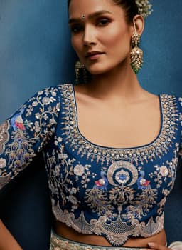 Pearl Grey Fancy Saree with Peacock Embroidered Designer Blouse