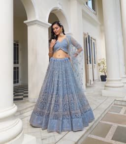 Powder Blue Butterfly Net Lehenga Choli