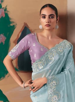 Powder Blue Organza Embroidered Saree