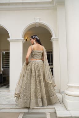 Grey Butterfly Net Lehenga Choli