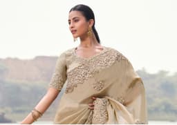 Champagne Gold Tissue Silk Khatli Work Saree