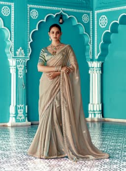 Beige Tissue Organza Saree with Zari Embroidery Border