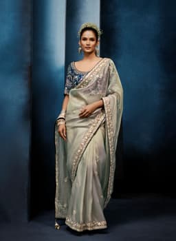 Pearl Grey Fancy Saree with Peacock Embroidered Designer Blouse