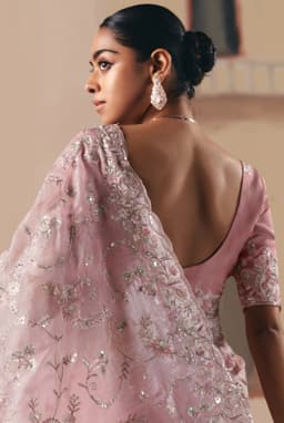 Blush Pink Sequins Work Saree
