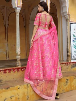 Stylish Lehenga For Women style