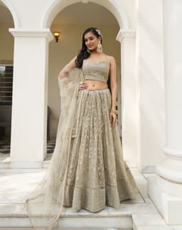 Grey Butterfly Net Lehenga Choli
