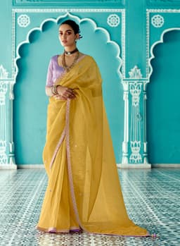 Mustard Yellow Tissue Saree with Embroidery Border