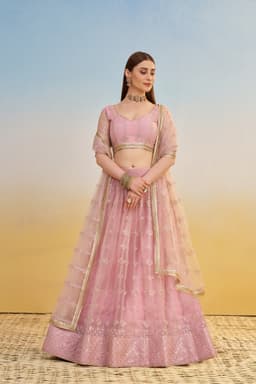 Pink Indian Lehenga Online outfit