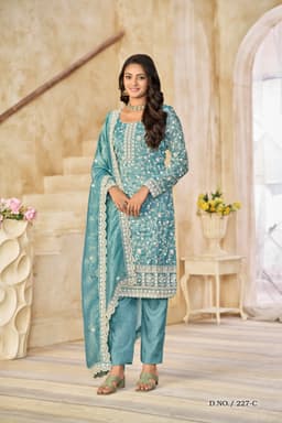 Aqua Blue Organza Suit Set