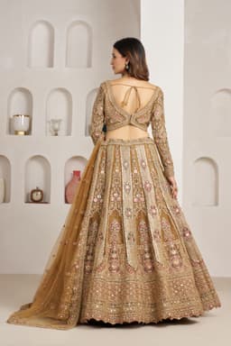 Champagne Gold Net Bridal Lehenga with Stone Embroidery