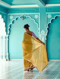 Mustard Yellow Tissue Saree with Embroidery Border