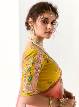 Dual Tone Organza Tissue Party Wear Saree