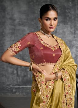 Gold Tissue Zari Saree with Embroidery | Wedding Saree Collection