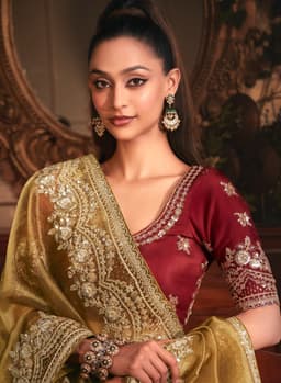 Olive Gold Tissue Saree with Heavy Zari Border