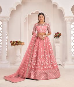 Blush Pink Butterfly Net Lehenga Choli