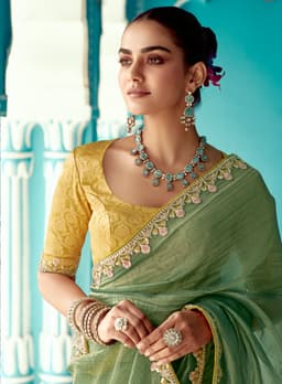 Sage Green Organza Saree with Floral Embroidery Border