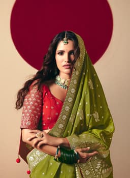 Olive Green Designer Saree for Festive Celebrations