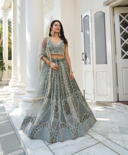 Sage Green Butterfly Net Lehenga Choli