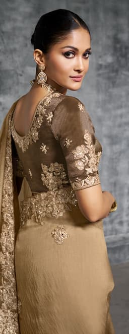 Golden Beige Designer Tissue Saree