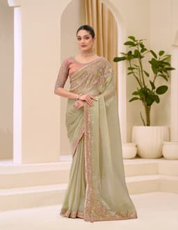 Sage Green Sunsilk Tissue Saree for Reception & Wedding | Wedding Saree Guest