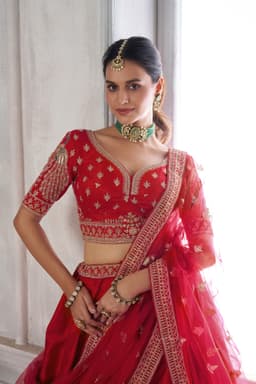 Royal Red Silk Peacock Embroidered Wedding Bridal Lehenga