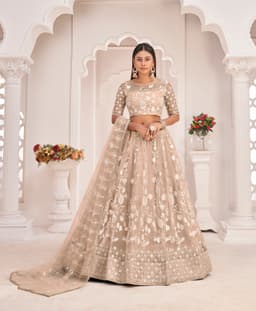 Champagne Beige Butterfly Net Lehenga Choli