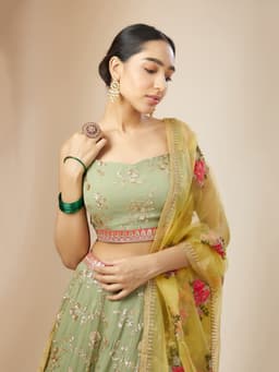 Designer Indian Lehenga Dress look