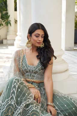 Sage Green Butterfly Net Lehenga Choli