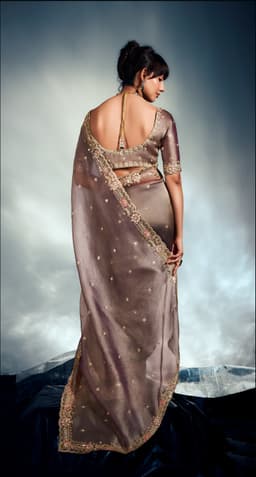 Luxury Taupe Tissue Organza Saree for Reception Wear