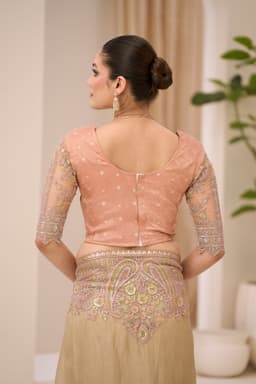Sage Green Designer Tissue Saree for Wedding Guest
