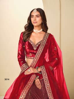 Designer Bridal Lehenga Choli look