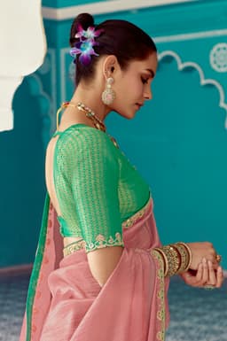 Blush Pink Tissue Saree with Embroidery Border