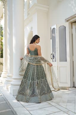 Sage Green Butterfly Net Lehenga Choli