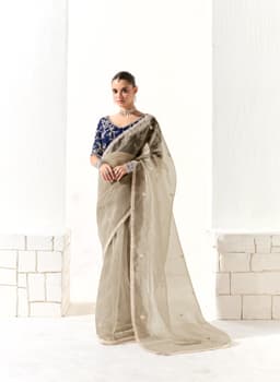 Champagne Organza Tissue Heavy Work Saree