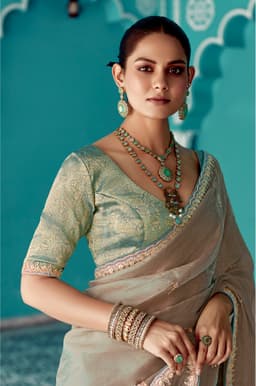 Beige Tissue Organza Saree with Zari Embroidery Border