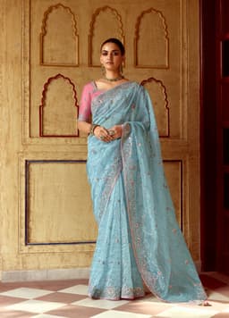 Sky Blue Party Sequins Saree