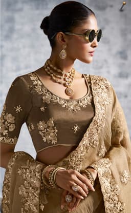 Golden Beige Designer Tissue Saree