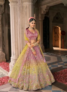 Pink Lehenga For Women Back View