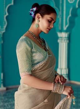 Beige Tissue Organza Saree with Zari Embroidery Border