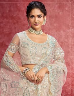 Off-White Heavy Net Saree with All-Over Embroidery – Bridal Party Wear Saree