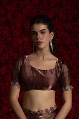 Brown Tissue Chiffon Handwork Jarkan Saree – Luxury Party Wear