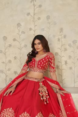 Red Silk Embroidered Lehenga Choli with Elephant Motifs