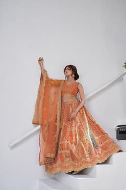 Rust Banarasi Silk Lehenga Choli with Peacock Art Motifs
