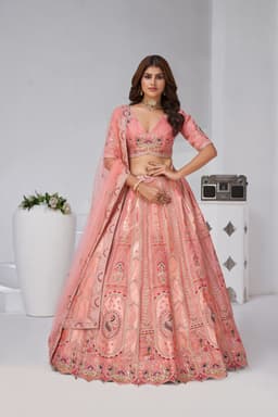 Blush Pink Banarasi Silk Lehenga Choli with Embroidery