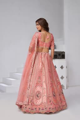 Blush Pink Banarasi Silk Lehenga Choli with Embroidery