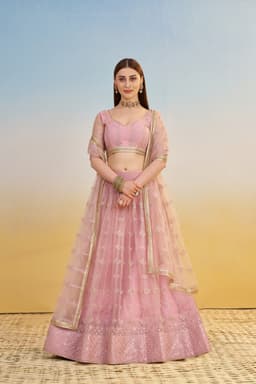 Pink Butterfly Net Engagement & Reception Lehenga with Thread Embroidery